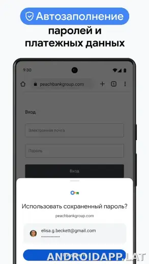 Google Chrome скриншот 6
